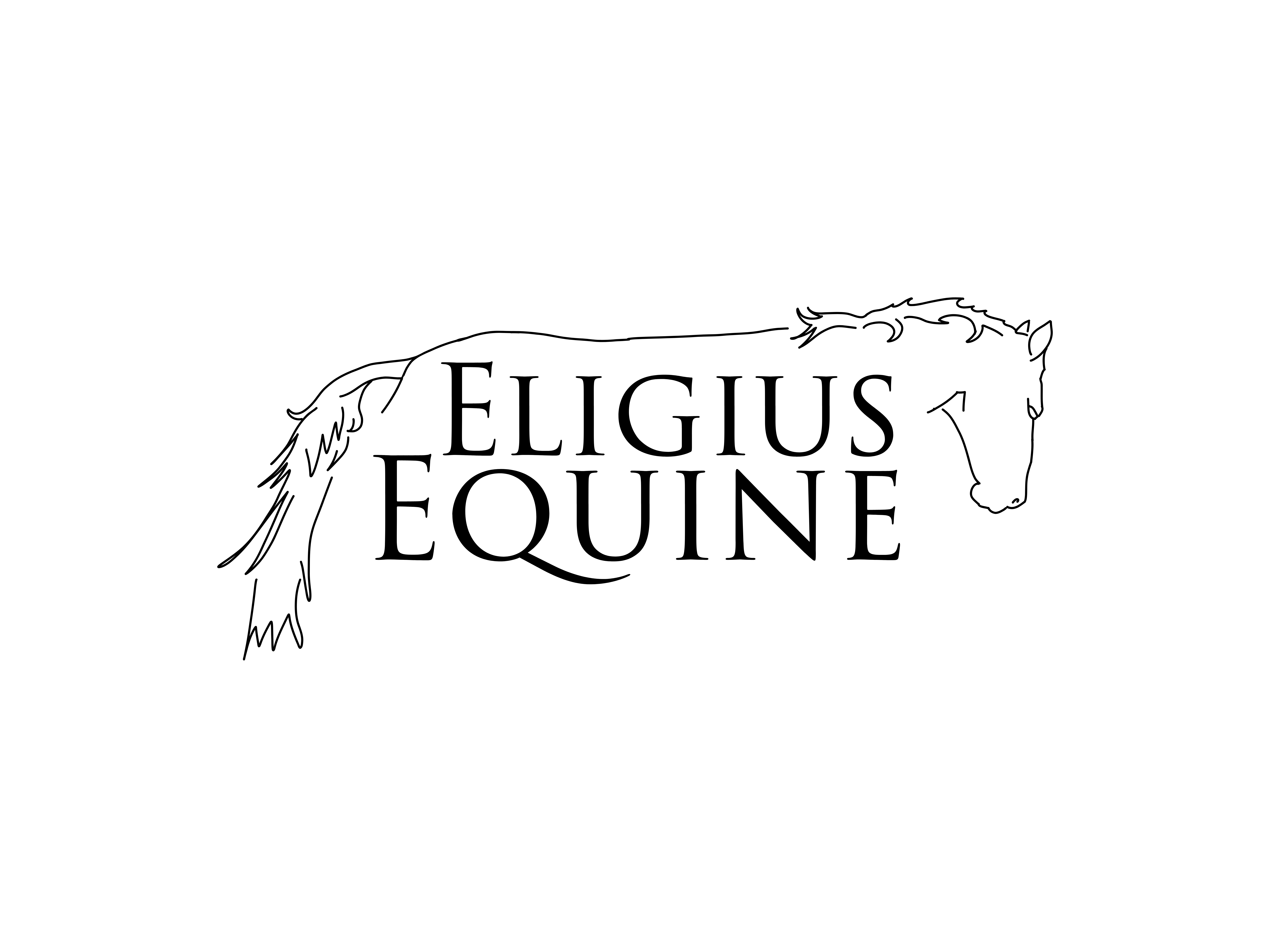 Eligius Equine